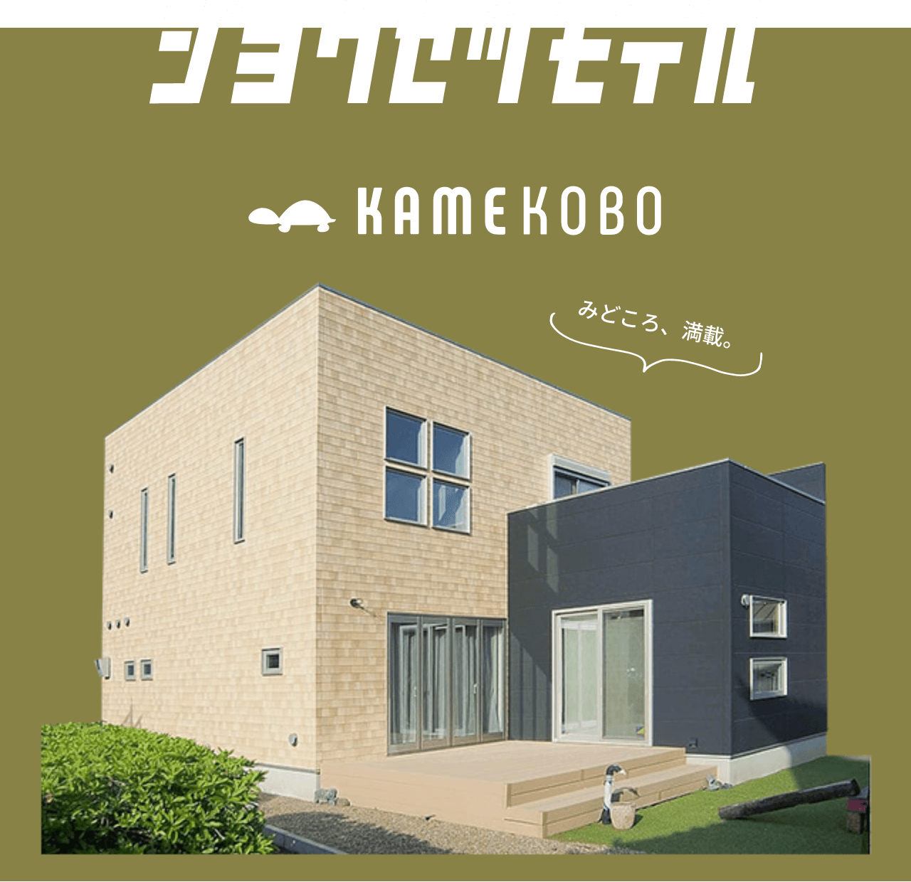 ジョウセツモデル　KAMEKOBO